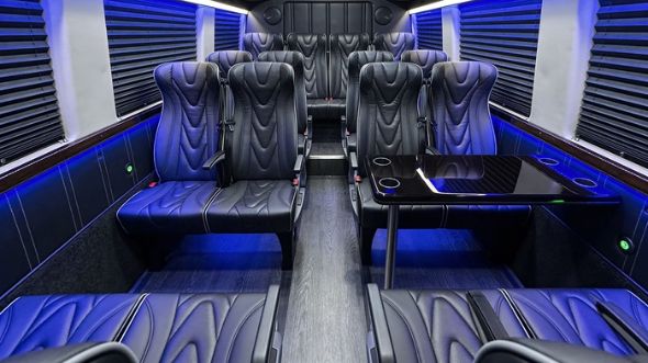 20 passenger sprinter van interior arlington