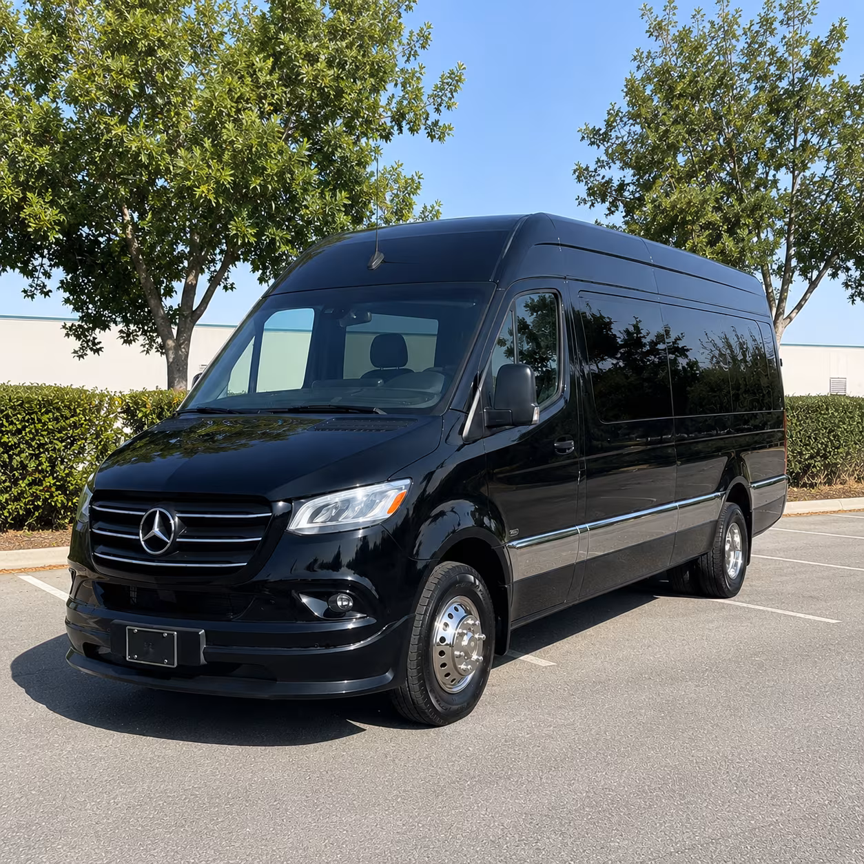 arlington 18 passenger sprinter van